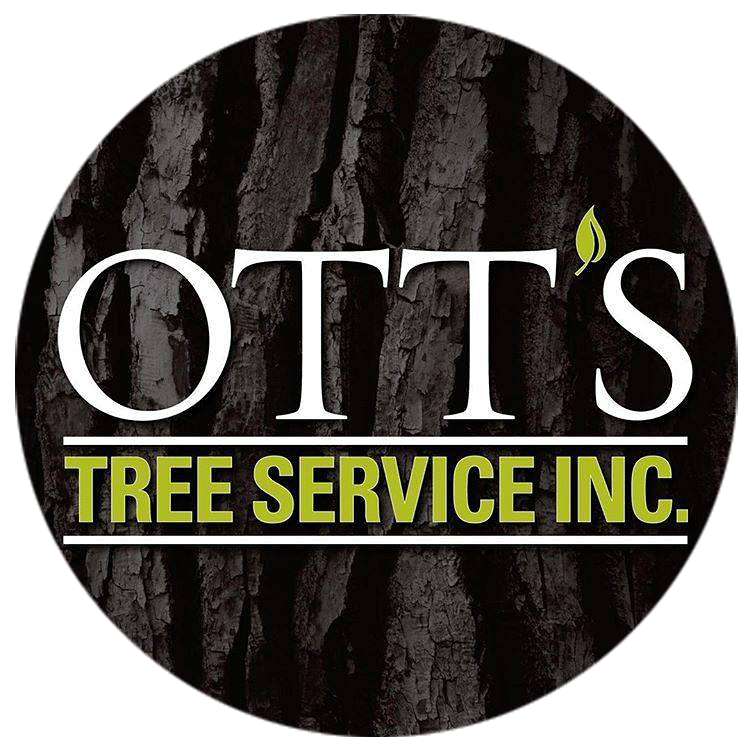 Ott's Tree Service