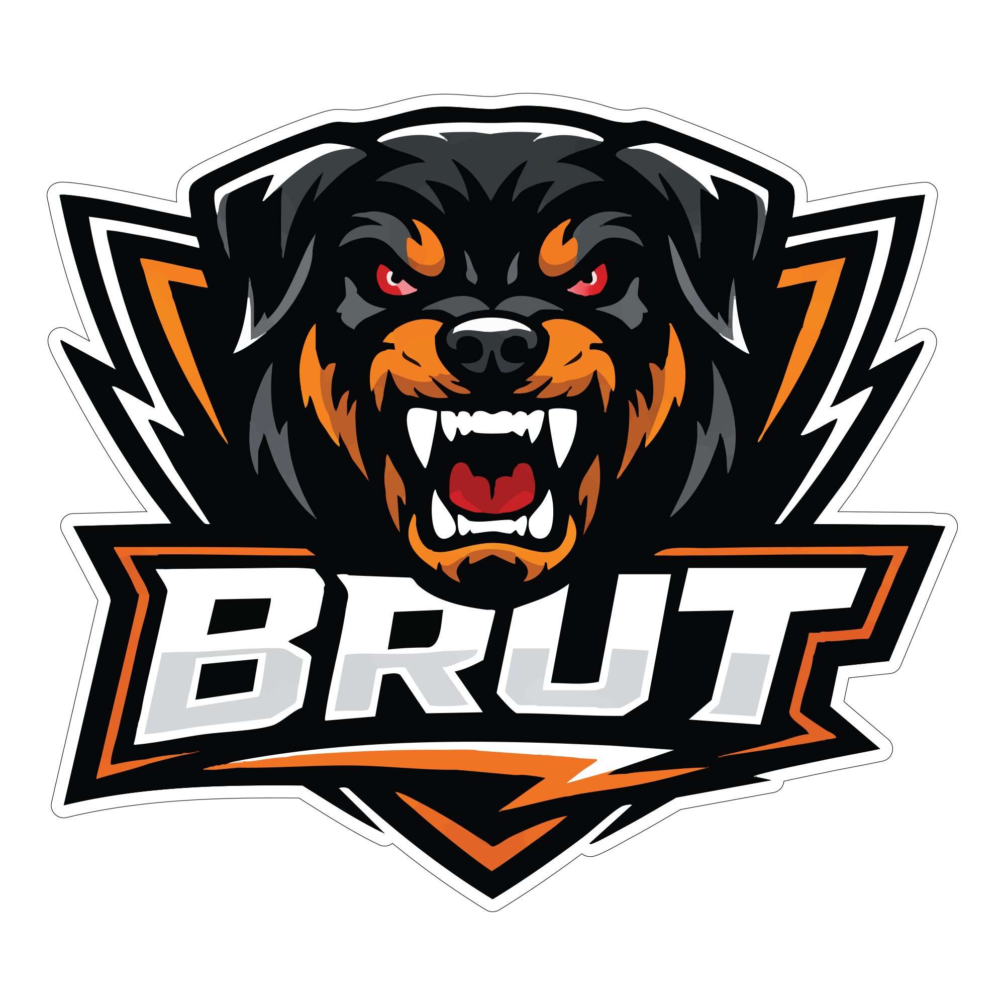 Brut Hockey